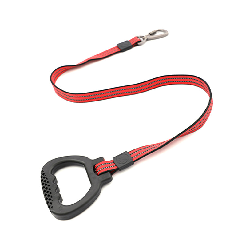 Taotao Reflective Flat leash