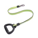 Taotao Reflective Flat leash