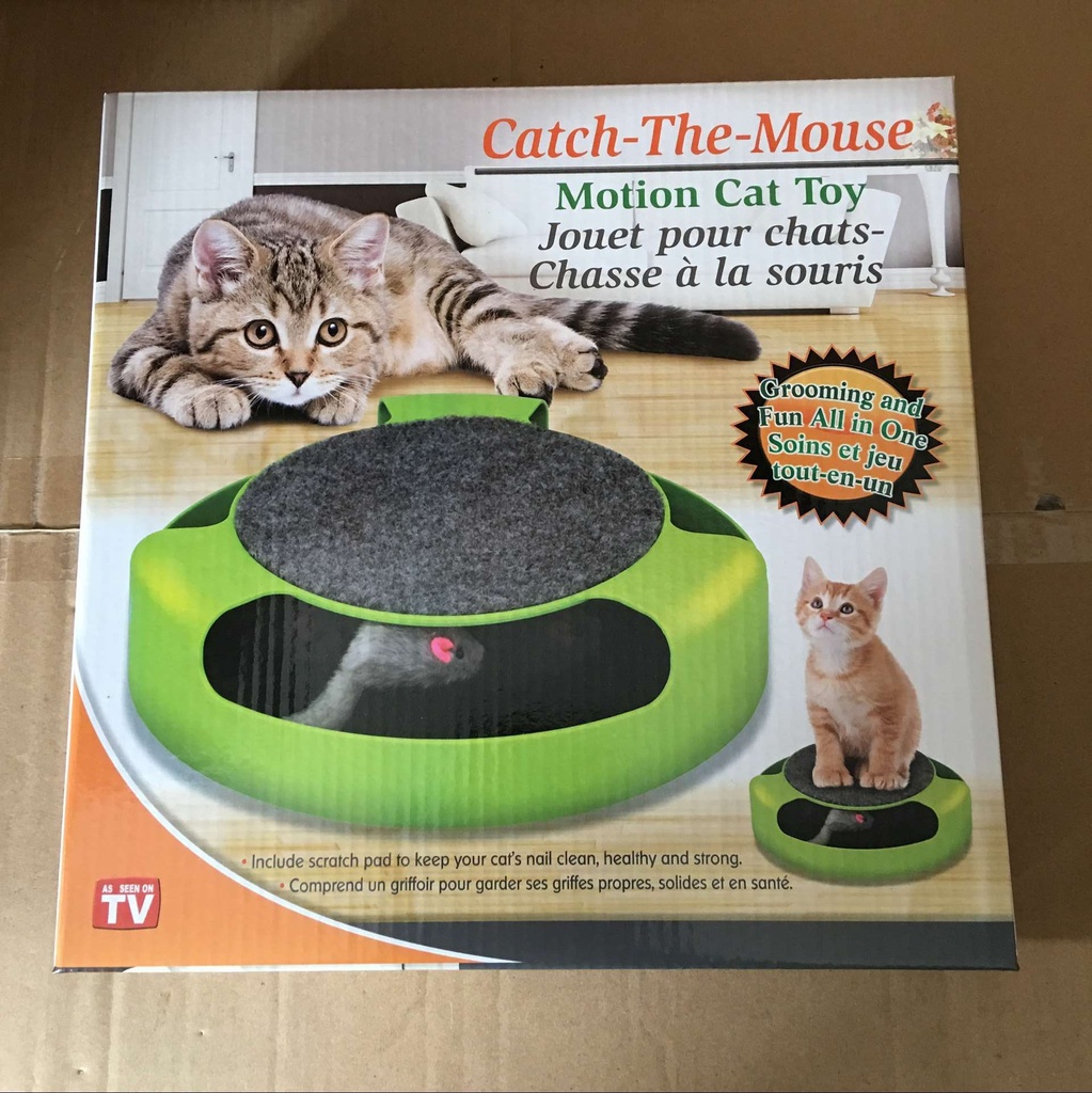 Catch the mouse motion cat toy