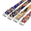 Ethnic Pet Collar   Medium