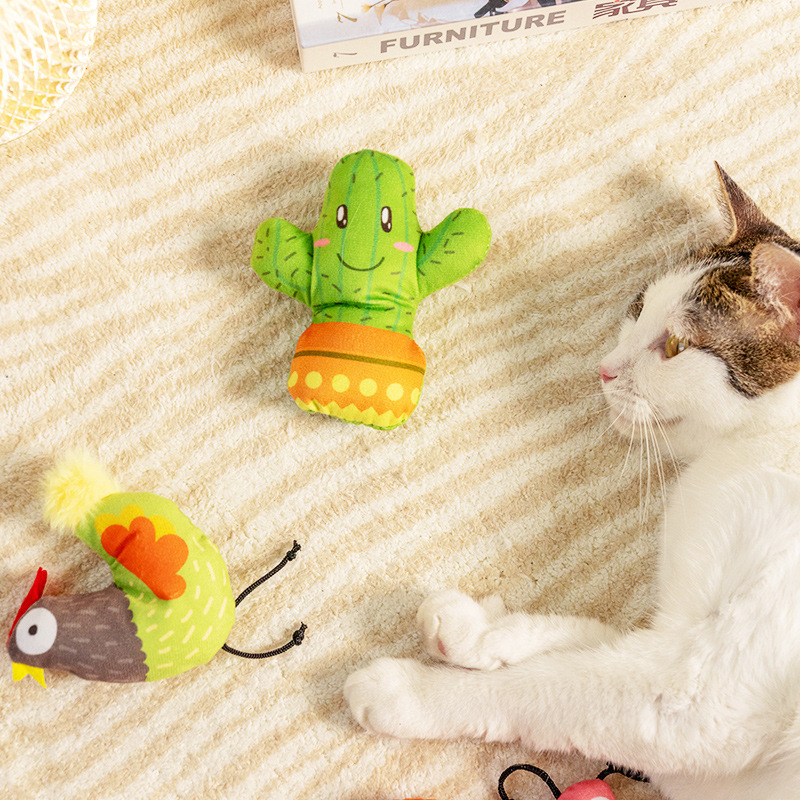 Spring Series Cat Toy