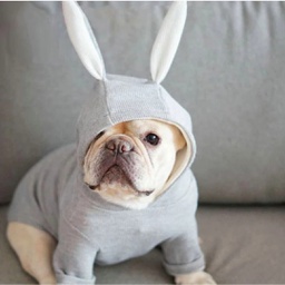 Bunny Dog Shirt (Hooded) Extra Large