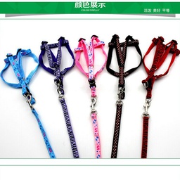 Cartoon Harness and Leash Set (Medium)