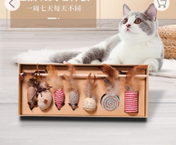 Cat toy box