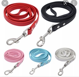 Coloured Leather Leash