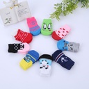 Pet Socks (Medium)