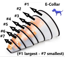 Elizabethan Collar (Size 5)