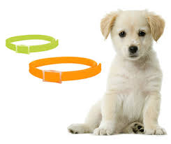 Flea and Tick Collar
