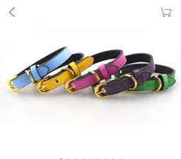 Golden Buckle Leather Collar (Small)