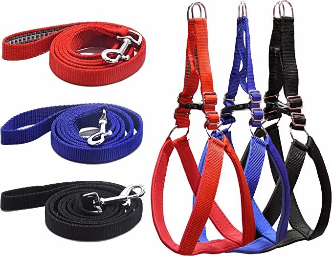 Padded Leash and Harness Set (Medium)