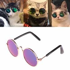 Pet Eye Glasses