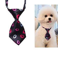 Pet Ties