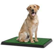 Pet Potty 3 piece Dog Relief System