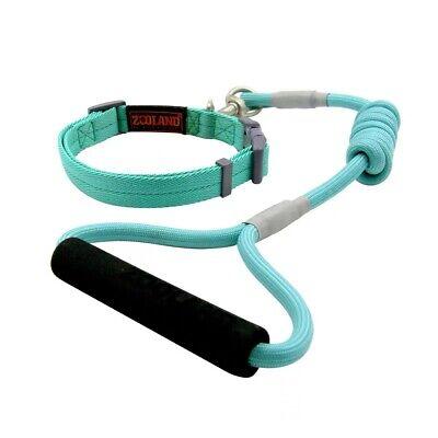 Pawxie Collar and Leash with foam handle (Medium)