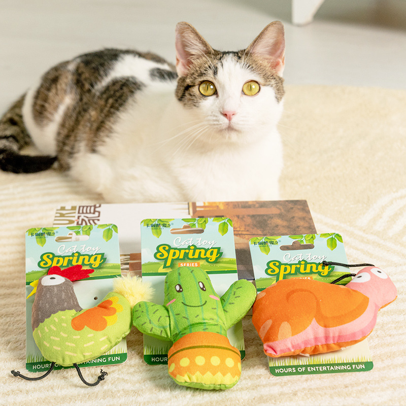 Spring Series Cat Toy