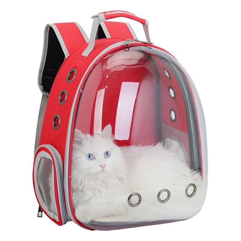 Pet Transparent Back Pack  (New Design)