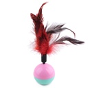 Taotao Feather and Ball Teasing Cat Toy