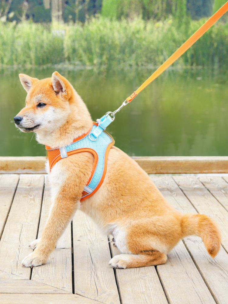 Breatheable Pet Chest Strap Harness Medium