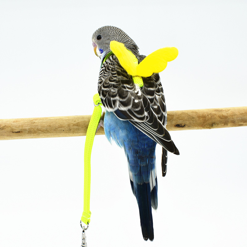 Parrot Harness