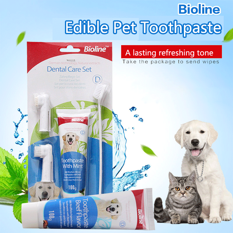 Bioline Dental Care Set (MINT)