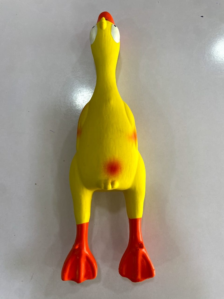 Taotao Squeaky Duck Toy