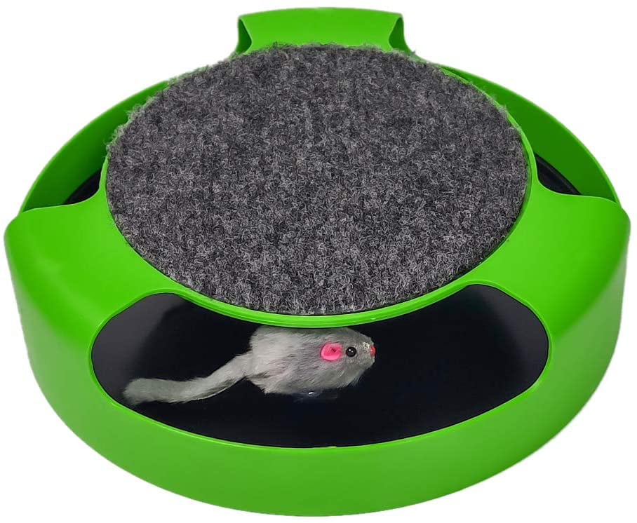 Catch the mouse motion cat toy